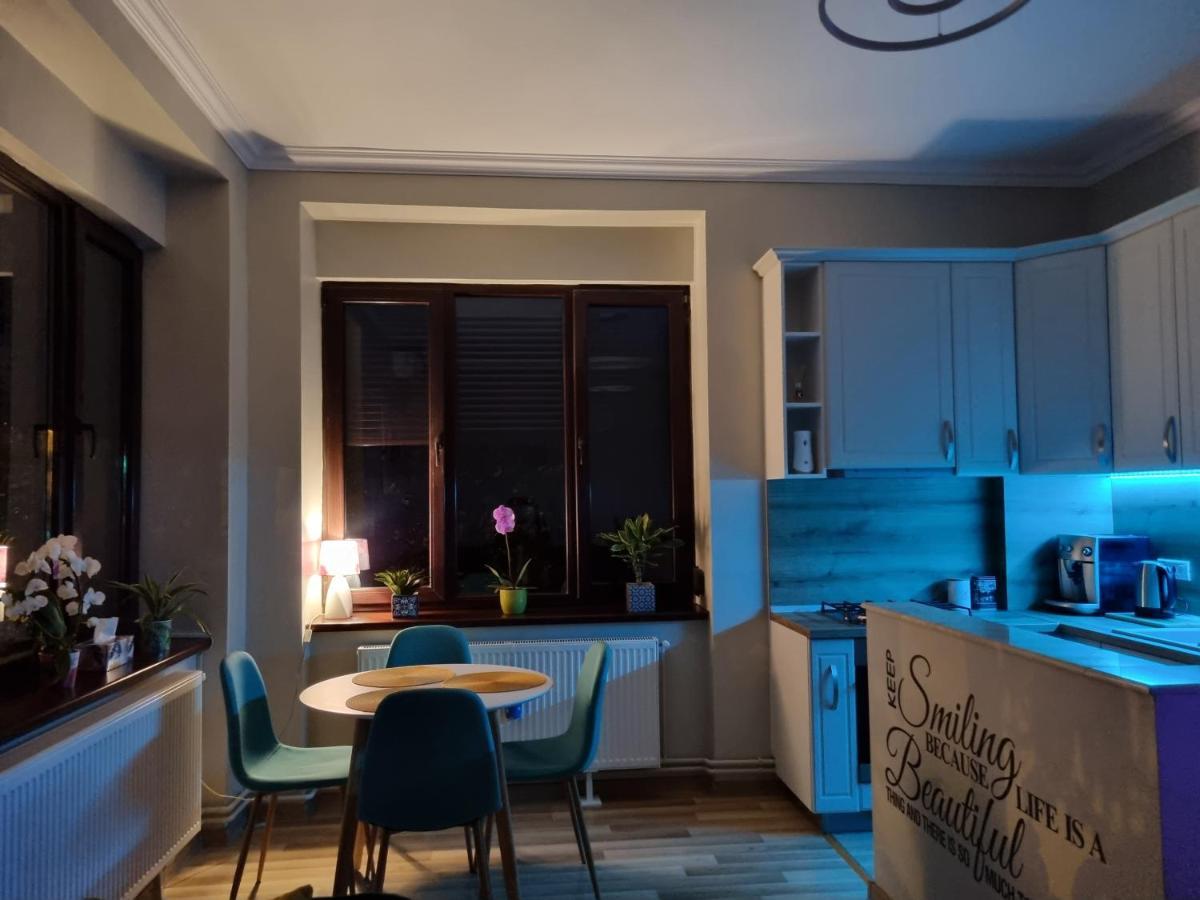 City Center Dream Apartment ทิมิชัวรา ภายนอก รูปภาพ