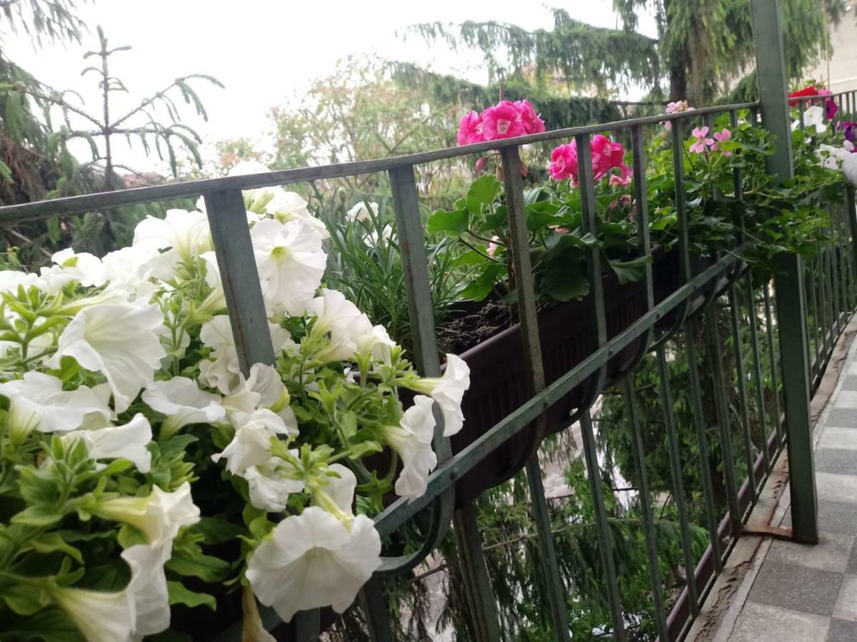 City Center Dream Apartment ทิมิชัวรา ภายนอก รูปภาพ